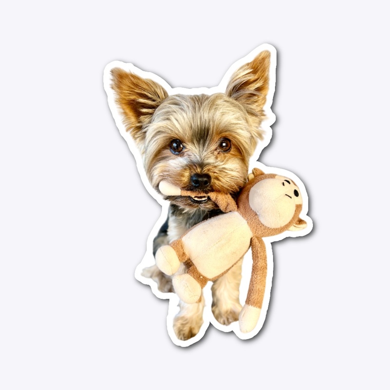 Sammy and his Monkey