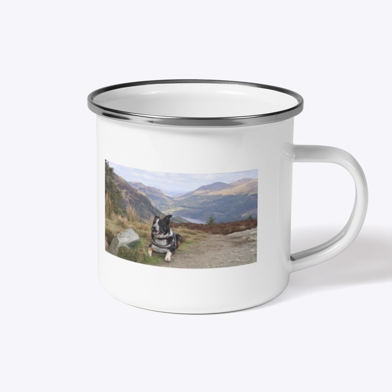 Milo/Falkirk Piping