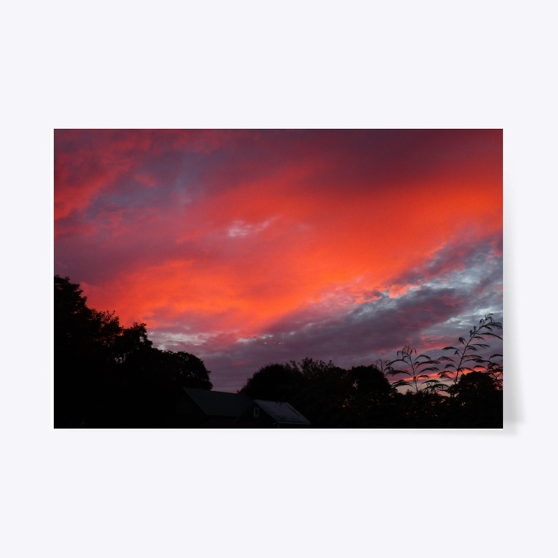 Pink Sunset