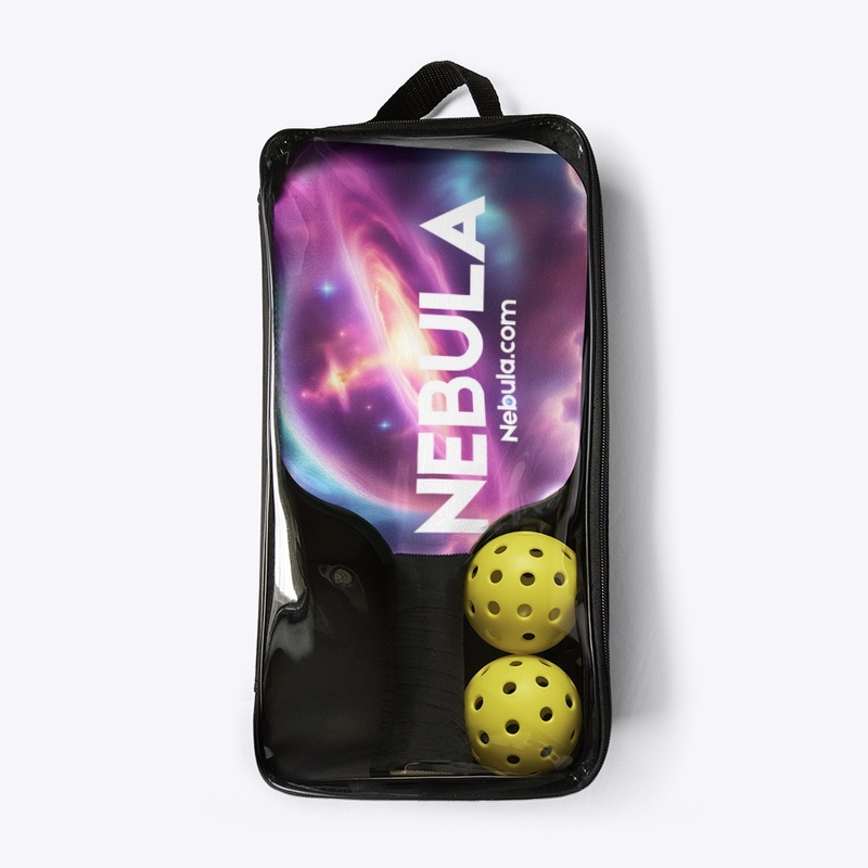 Pickle ball set