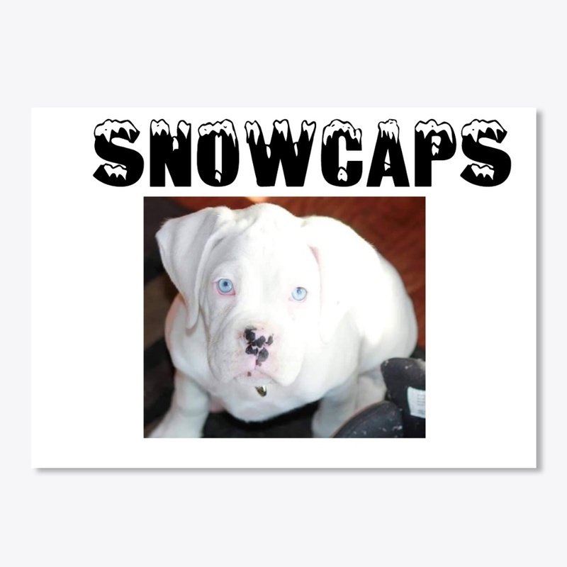 SNOW CAPS MEMORIAL