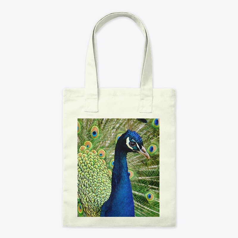 Peacock Feather Blue Green Bird Wildlife