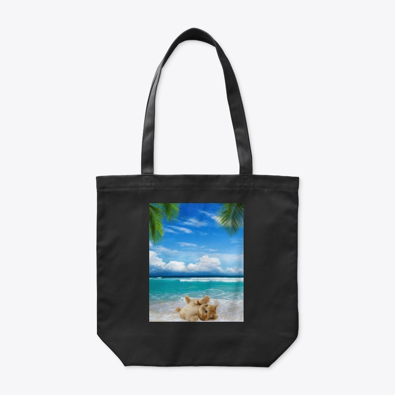 Cat on beach