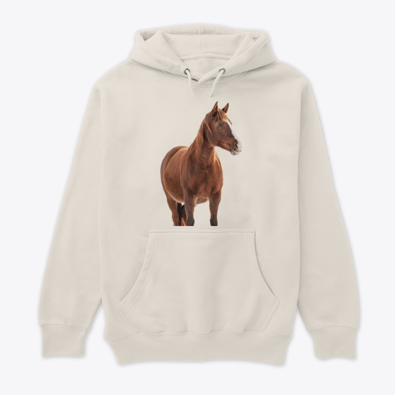 comfy horse blanket and hoodie