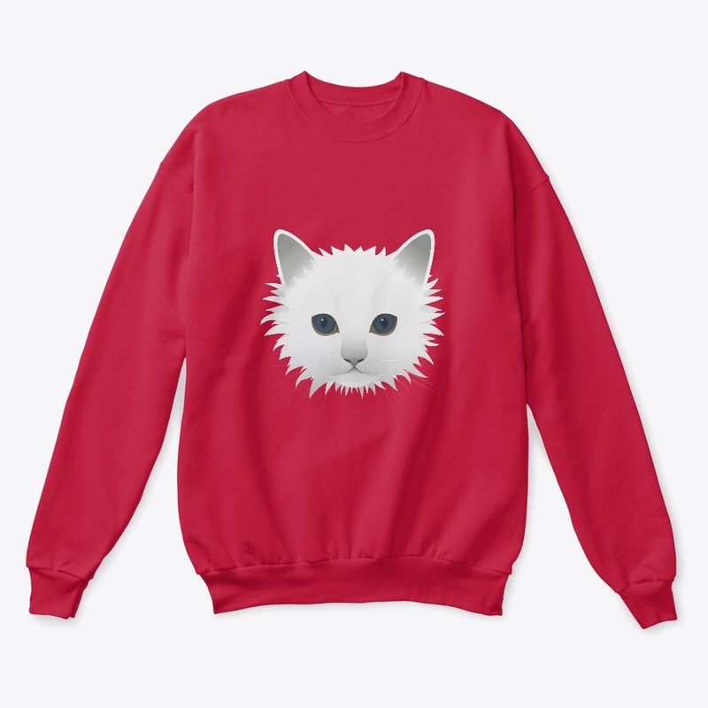 Cute kitten 