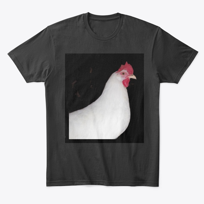 white leghorn hen chicken farm animal