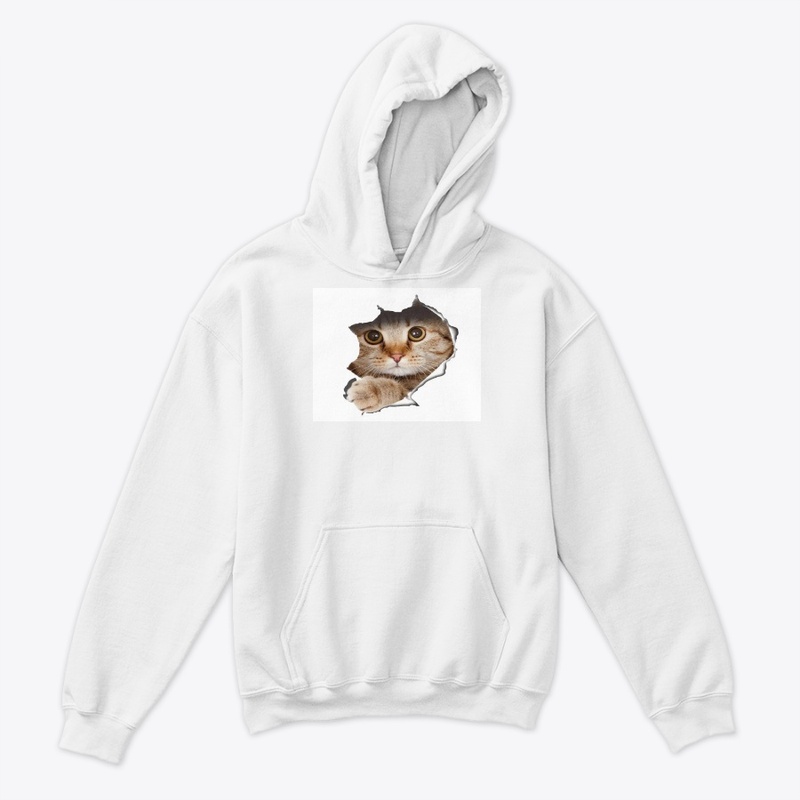 CAT IS COMING OUT