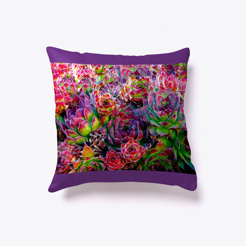 Plants are always in vogue!