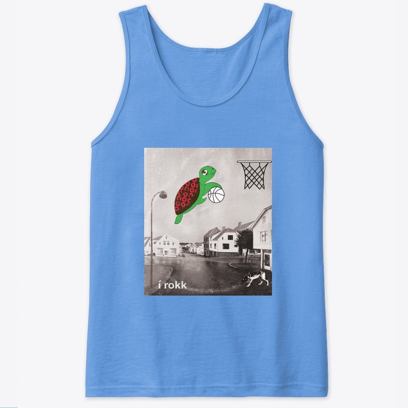 Turtle In The Clouds