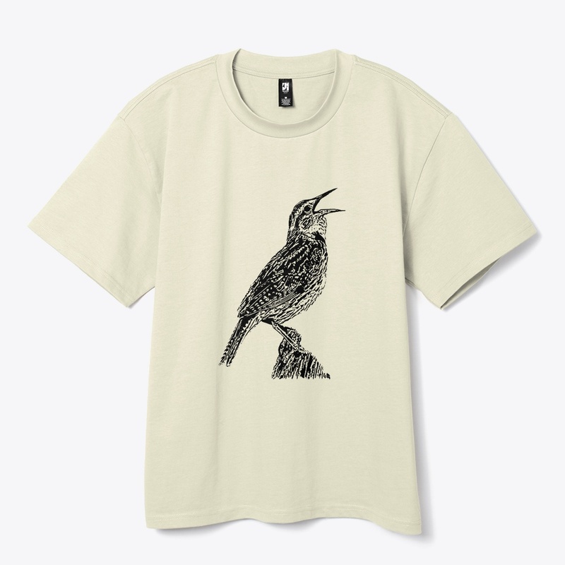 Singing Western Meadowlark Birdwatching