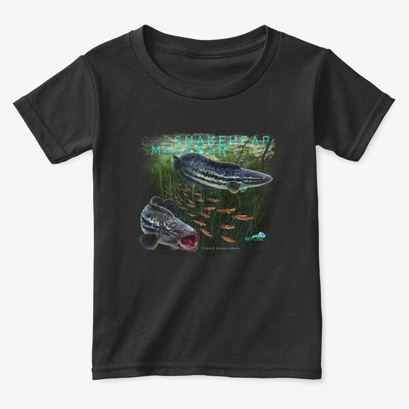 Malabar Snakehead