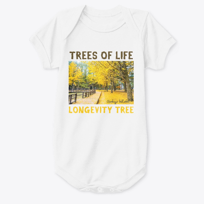 TREES of LIFE: GINKGO/LONGEVITY TREE