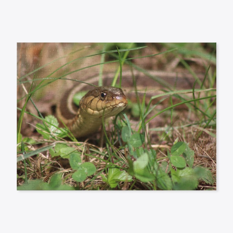 Snake 2