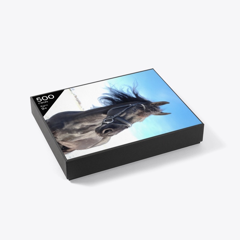 Friesian Horse Queen Uniek accessories