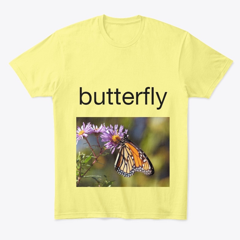 btterfly collection