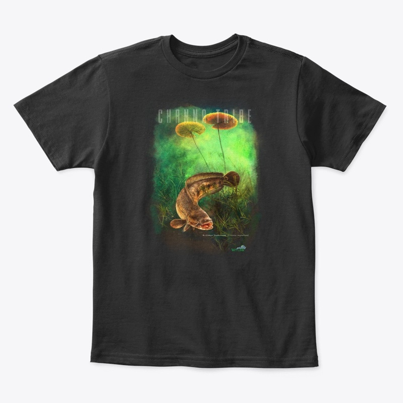 Snakehead - Channa Tribe