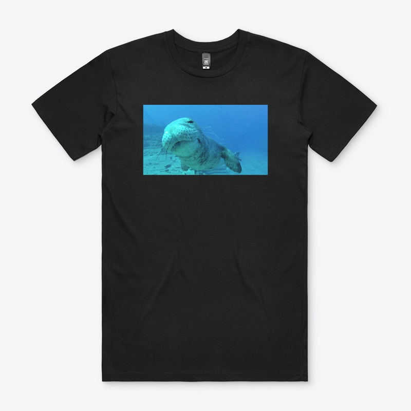 Monks of the sea