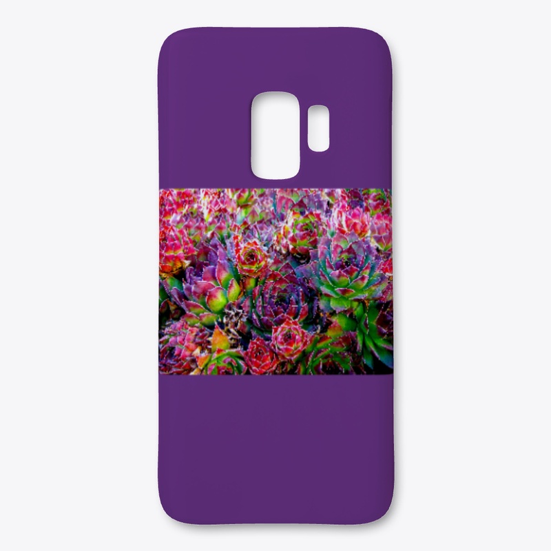 Plants are always in vogue!
