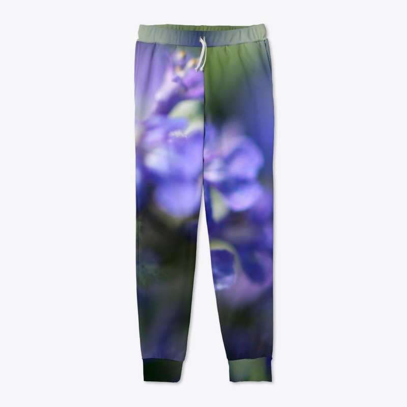 Blue and purple flowers in nature