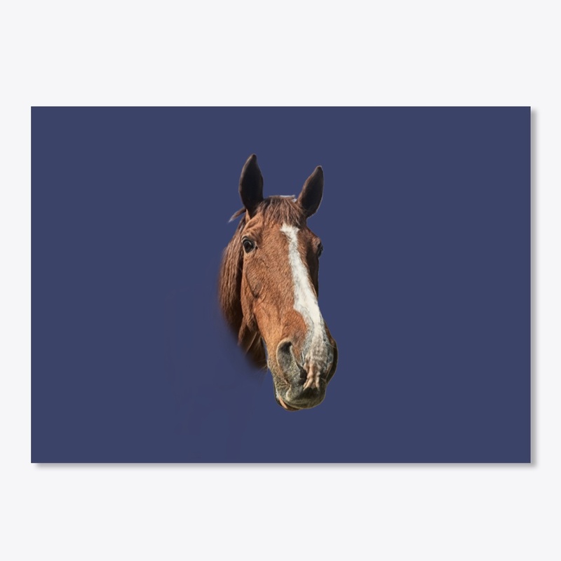 Horse Portrait No 1 - Horse