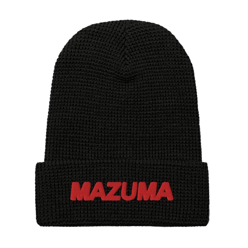 The Cozy Cash Beanie