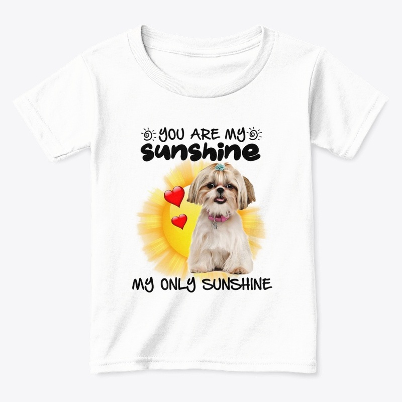 Shih Tzu Sunshine