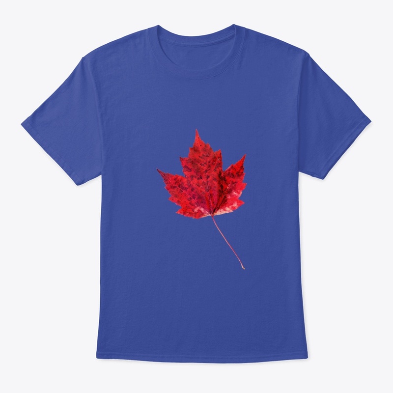 Vibrant Red Maple Leaf .