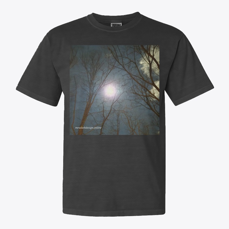 Night sky and trees are beautiful 