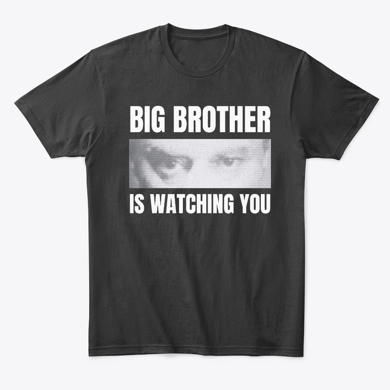 BIG BROTHER IS WATCHING YOU