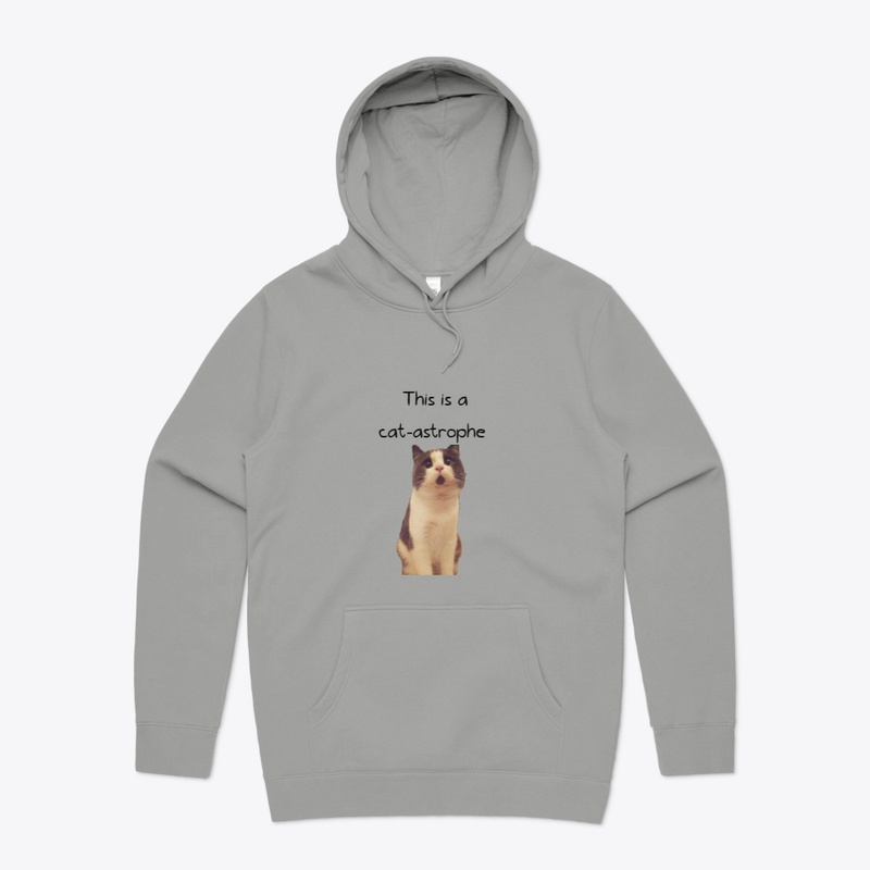This is a cat-astrophe