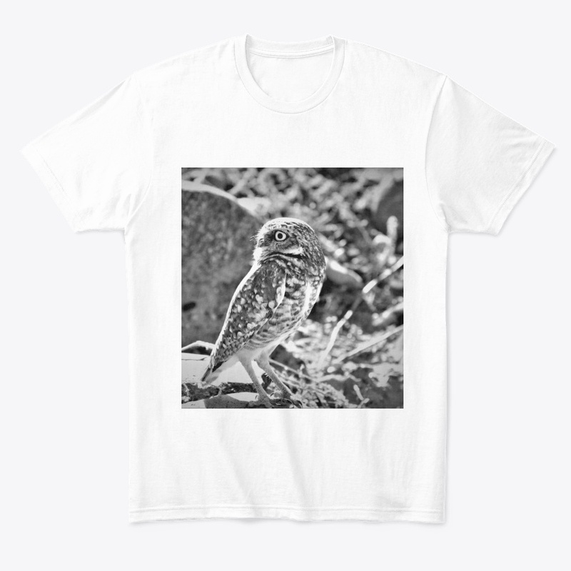 OWL THINGS