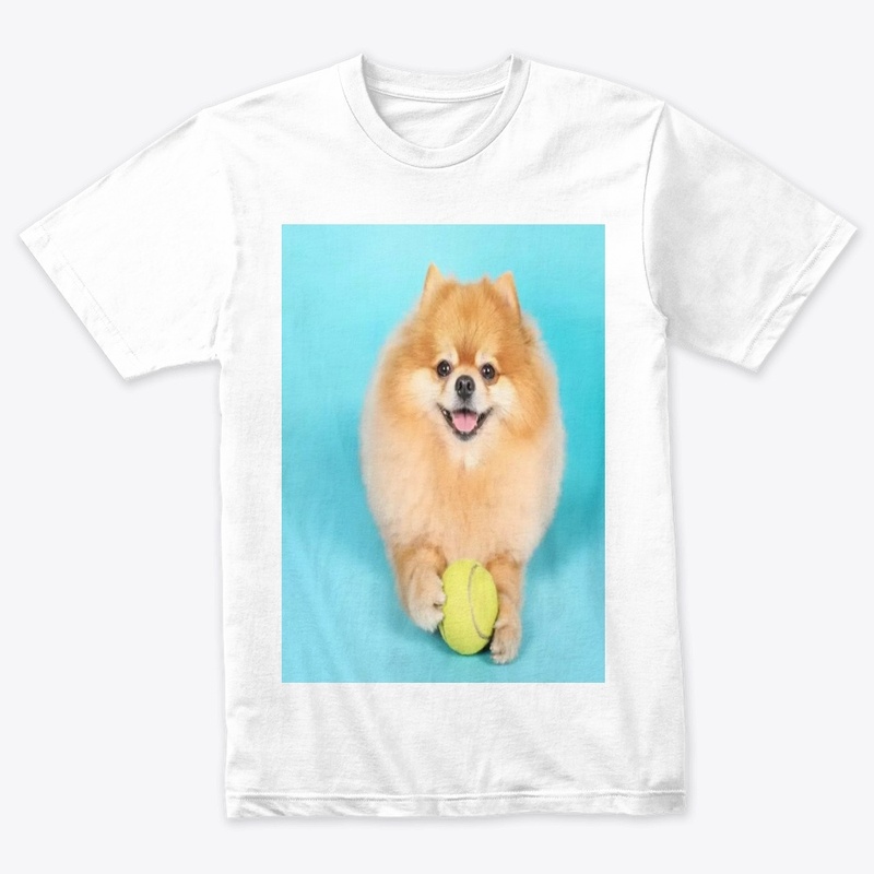 cute dog