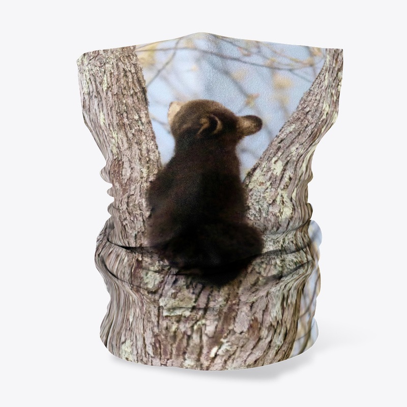 BEAR CUB in a TREE  - PONDERING