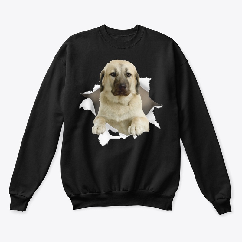 Kangal Dog Torn Paper