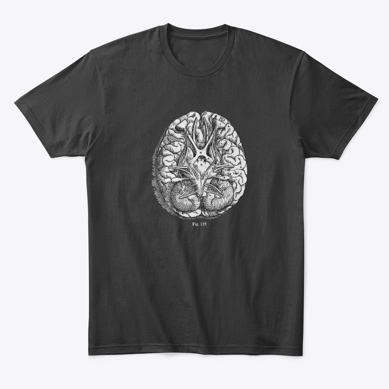 Brain Diagram