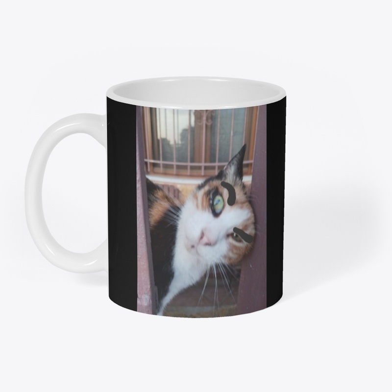 Flipzo's Cat