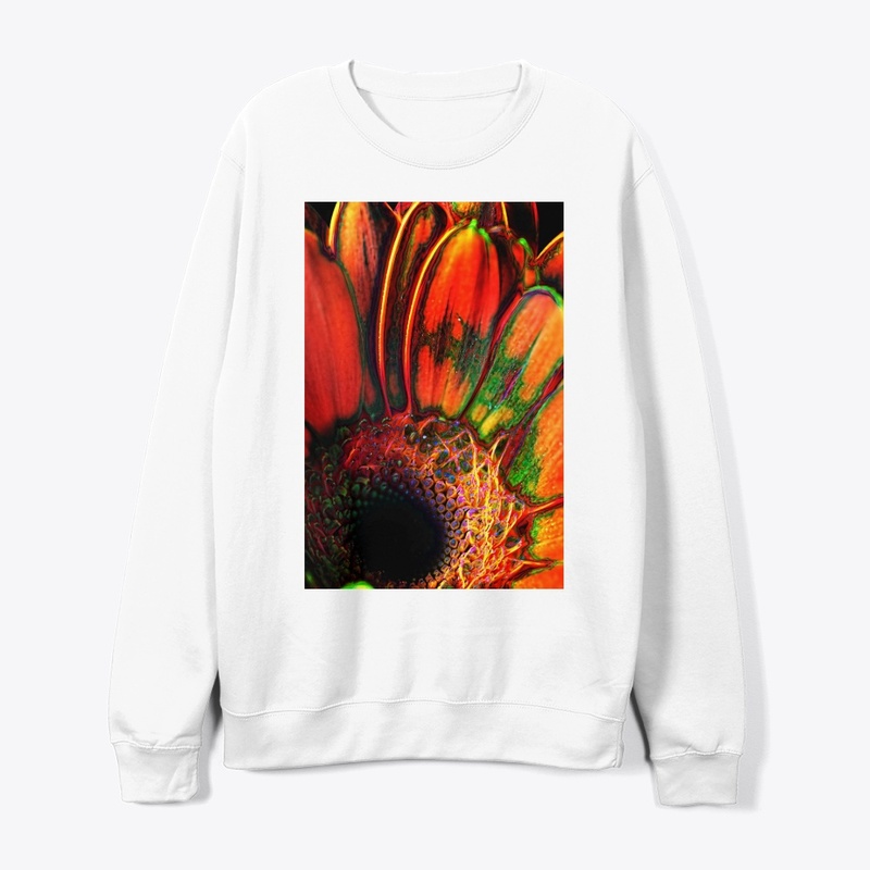 Abstract Orange Daisy