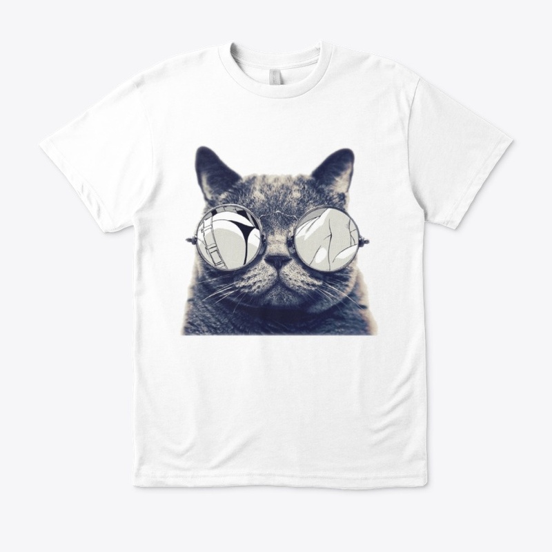 kitten with sunglasses