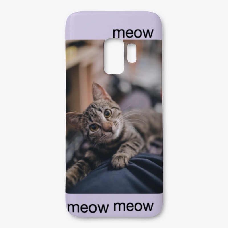 Meowing cat