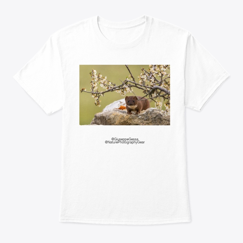 Least weasel