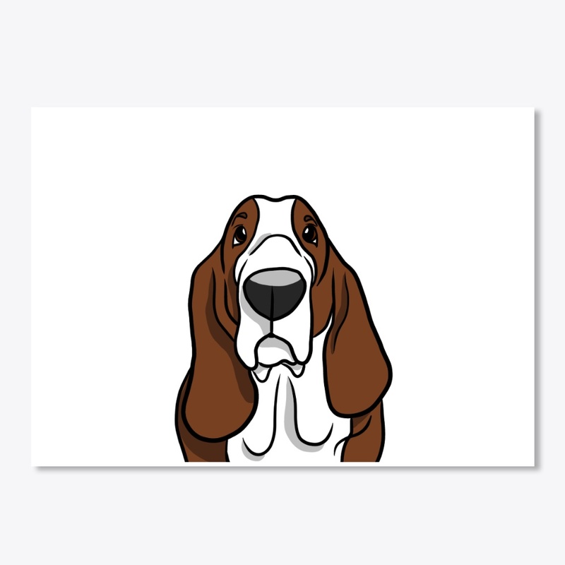 Basset Hound
