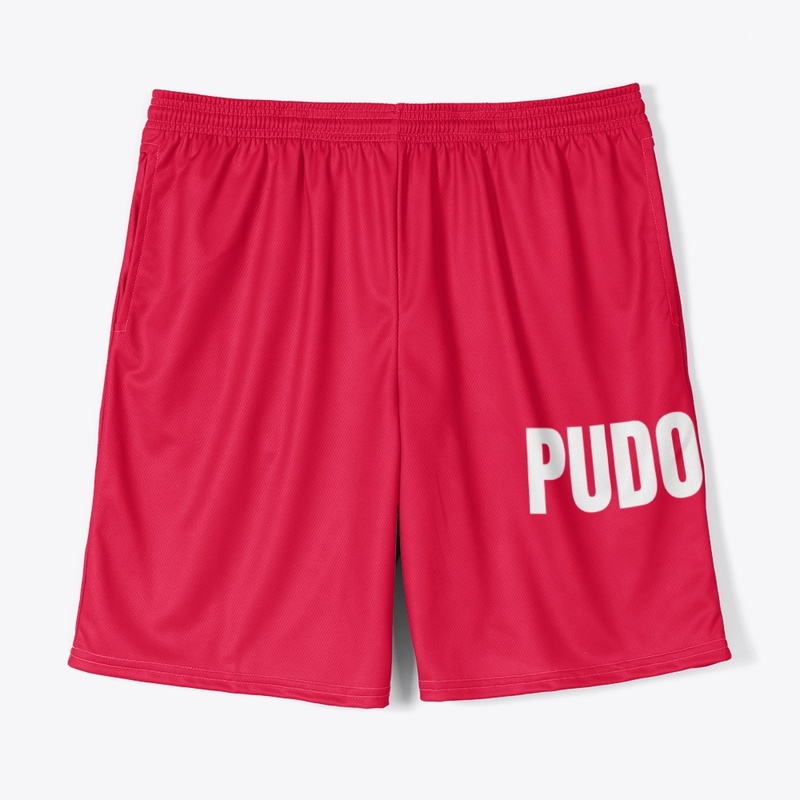 Pudo
