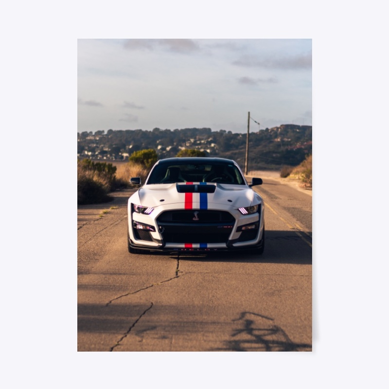 2020 Shelby GT500 In The Midwest 