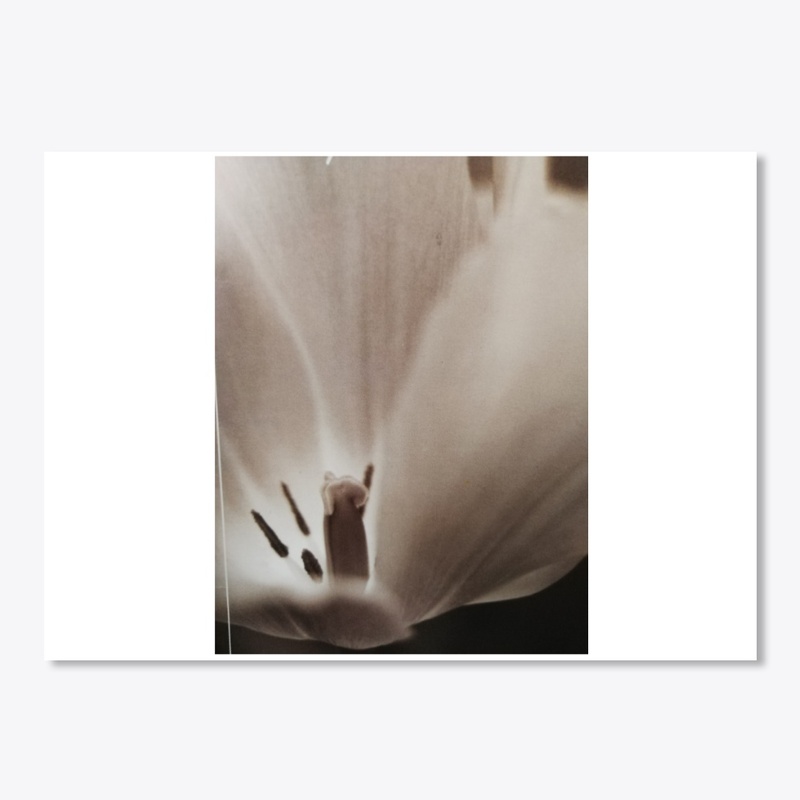 Petals 