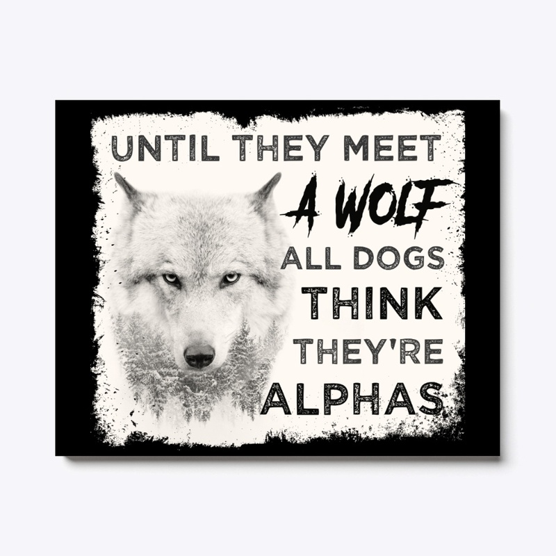 Till Meet Wolf Dogs Think They're Alphas