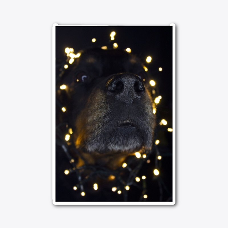 King Rottweiler 