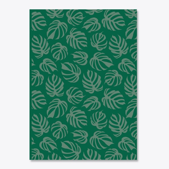 Planty of Love - Monstera Deliciosa var. Sierrana Plant