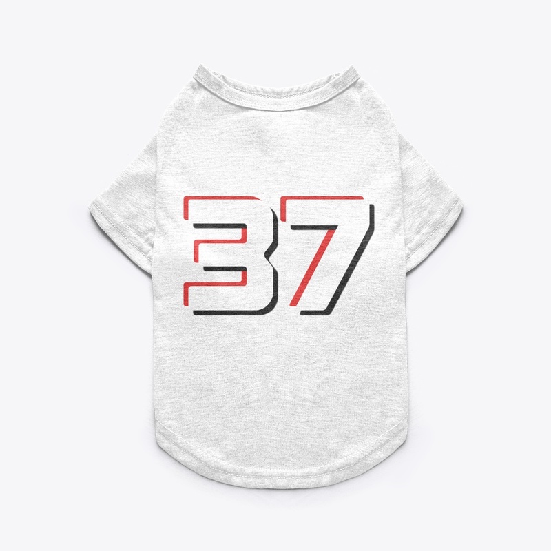 37 Camiseta Pedro sticker