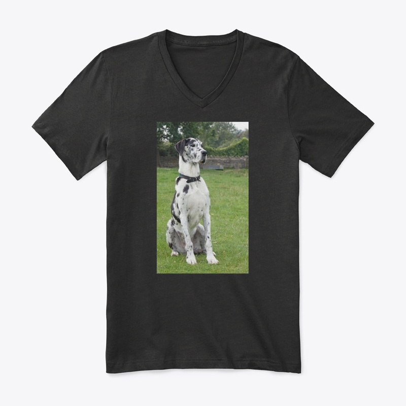 Great Dane T Shirt