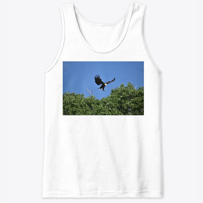 Eagle in Tree